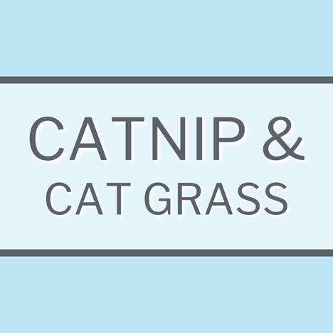 Cat Food & Treats Category Image Link Catnip & Grass