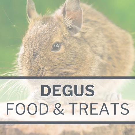 Category Image Link SMALL PETS Degus
