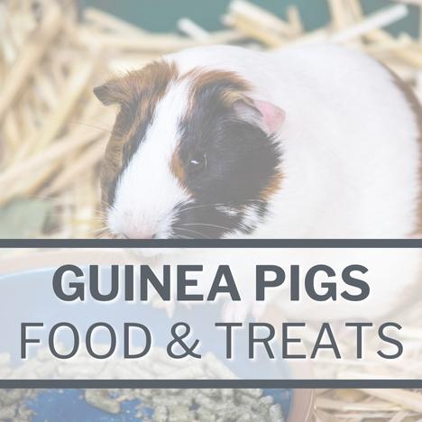 Category Image Link SMALL PETS Guinea Pigs