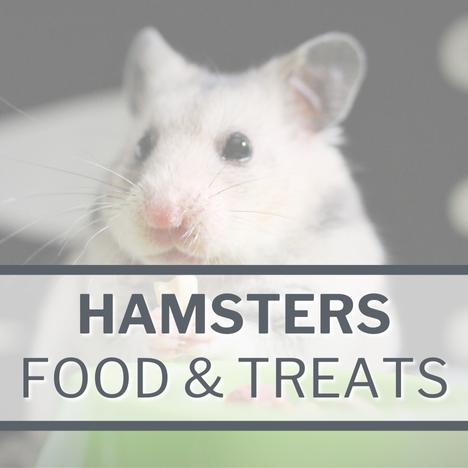Category Image Link SMALL PETS Hamsters