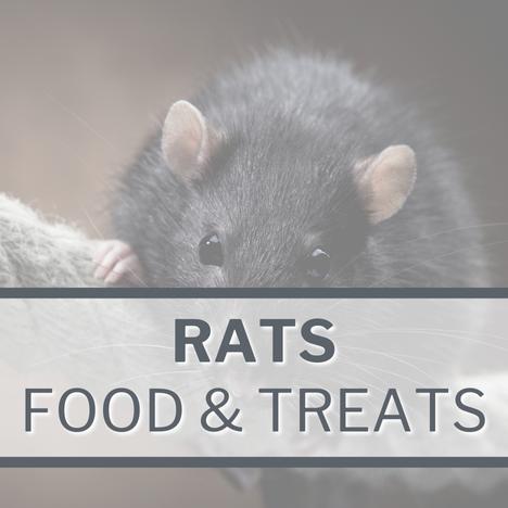 Category Image Link SMALL PETS Rats