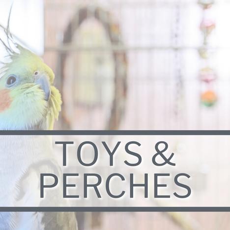 Category Link Image Caged Bird Toys & Perches
