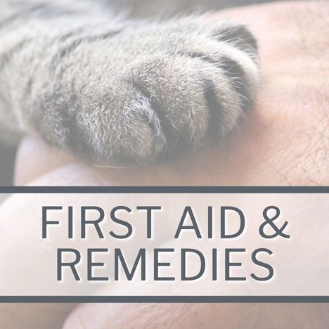 Category Link Image SQUARE Cat First Aid & Remedies