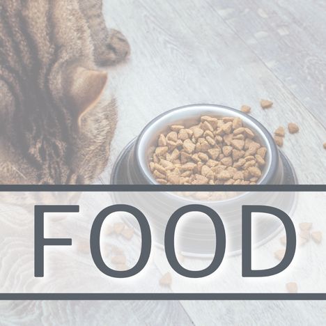 Category Link Image SQUARE Cat Food