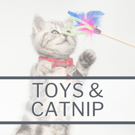 Category Link Image SQUARE Cat Toys & Catnip