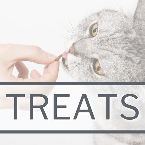 Category Link Image SQUARE Cat Treats