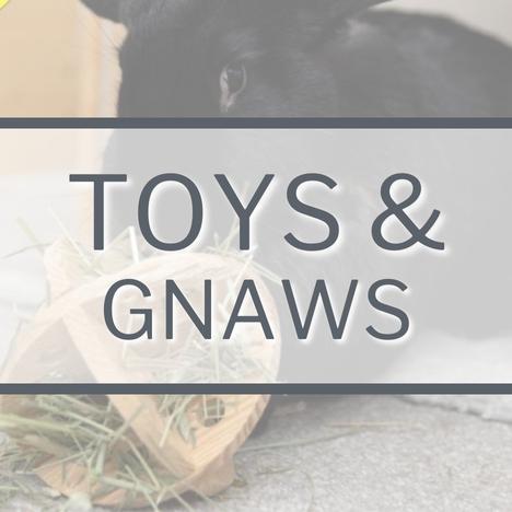 Category Link Image Small Pets Toys & Gnaws