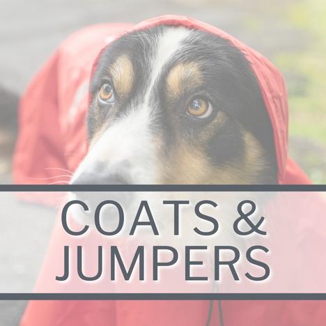 Dog Coats and Jumpers Category Image Square