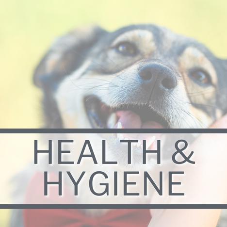 Dog Health & Hygiene Category Image Link