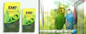 EMP Feeds Logo