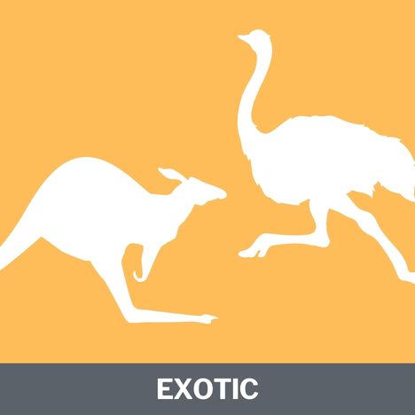 Exotic Protein Category