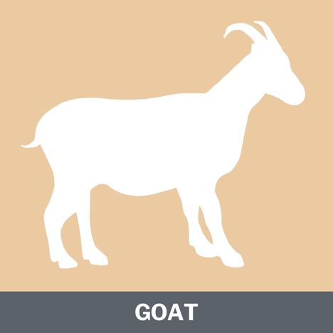 Goat Protein Category