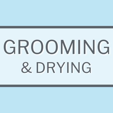 Grooming & Drying Dog Accessories Category Image Link