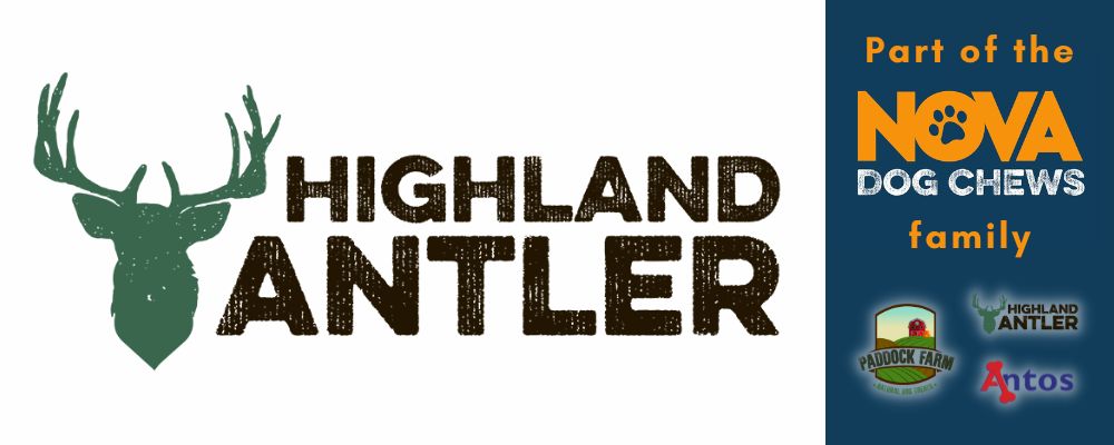 Highland Antler
