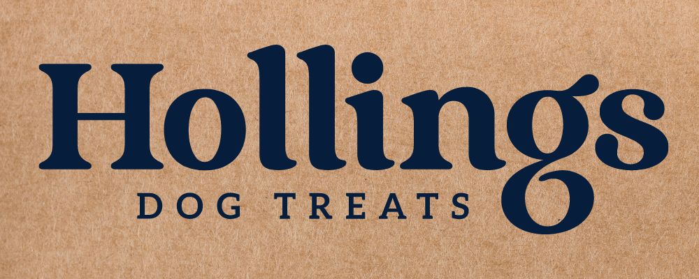 Hollings Logo