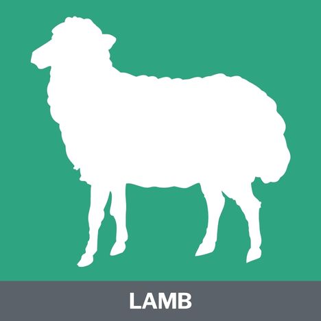 Lamb Protein Category
