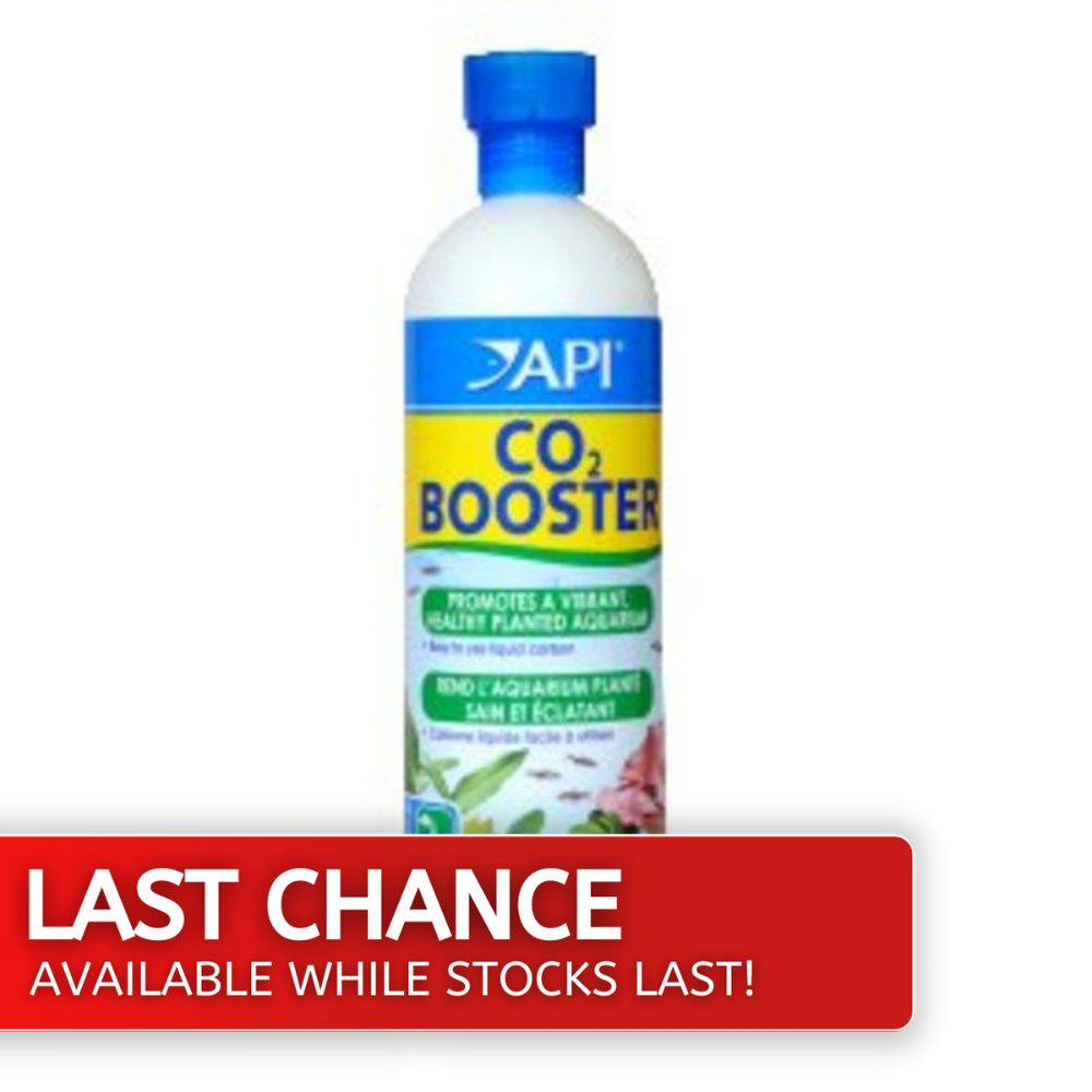 API Co2 Booster 237ml Last Chance