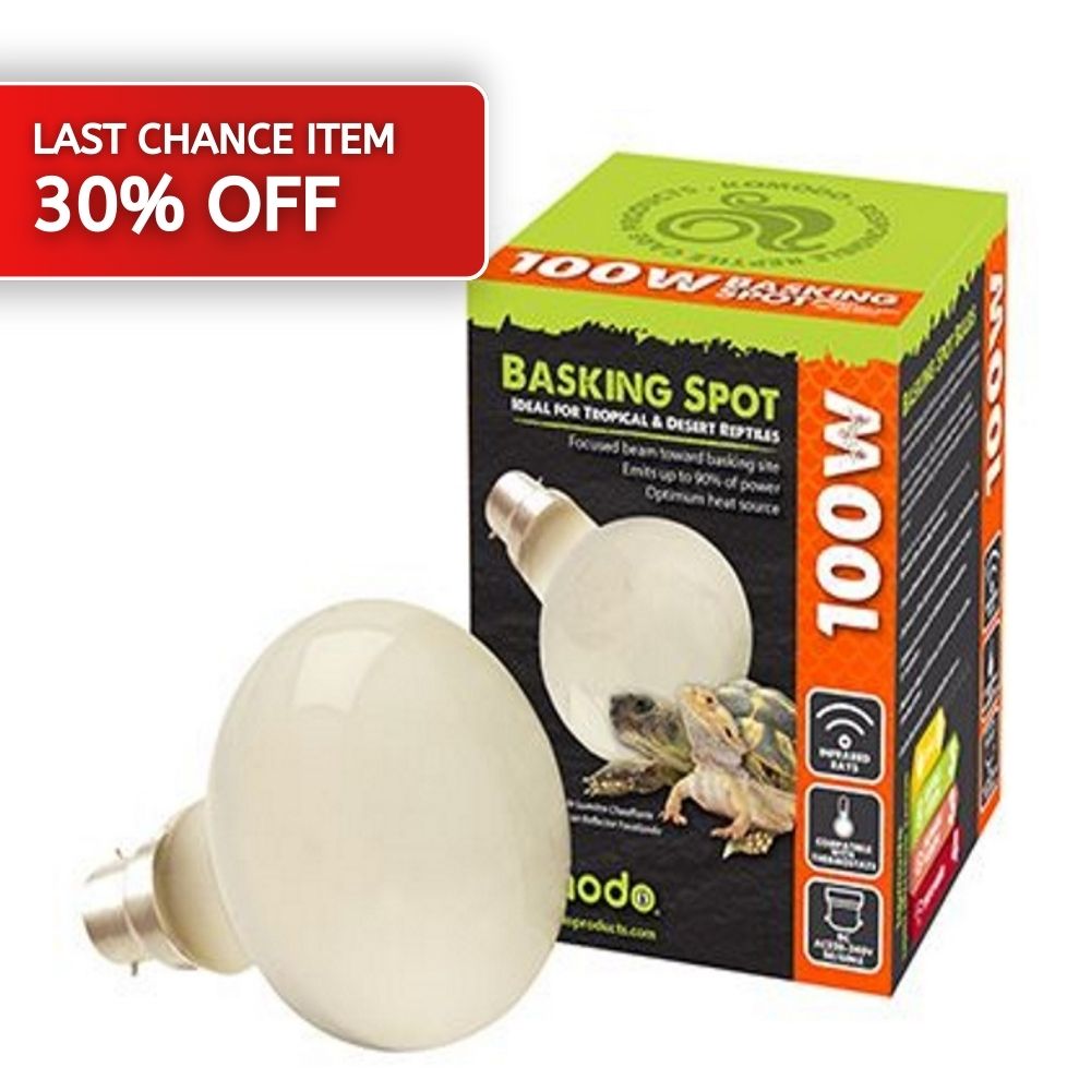 Komodo Basking Spot Bulb BC 100w
