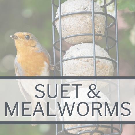 Wild Bird Suet & Mealworms Category Image Link
