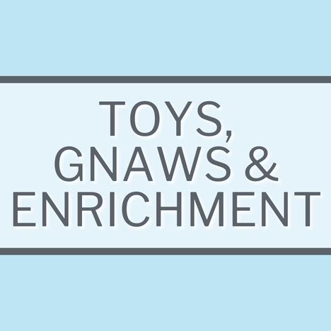 Small Pets Accessories - Toys, Gnaws and Enrichment Category Image Link