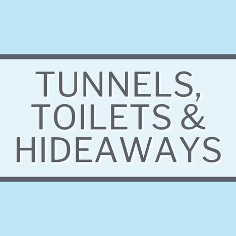 Small Pets Accessories - Tunnels, Toilets & Hideaways Category Image Link