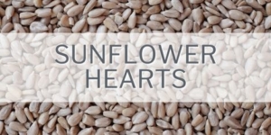 Sunflower Hearts Feature Image