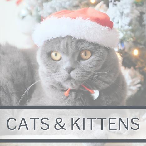 Cat Christmas Category