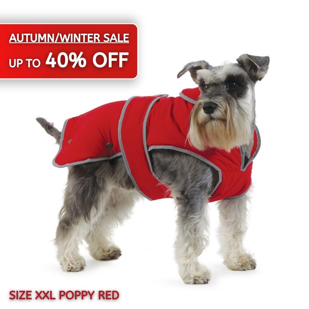 ANCOL Stormguard Dog Coat Poppy Red XXL [Older Design] Autumn/Winter Sale