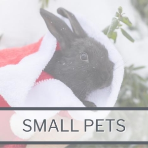 Small Pet Christmas Category