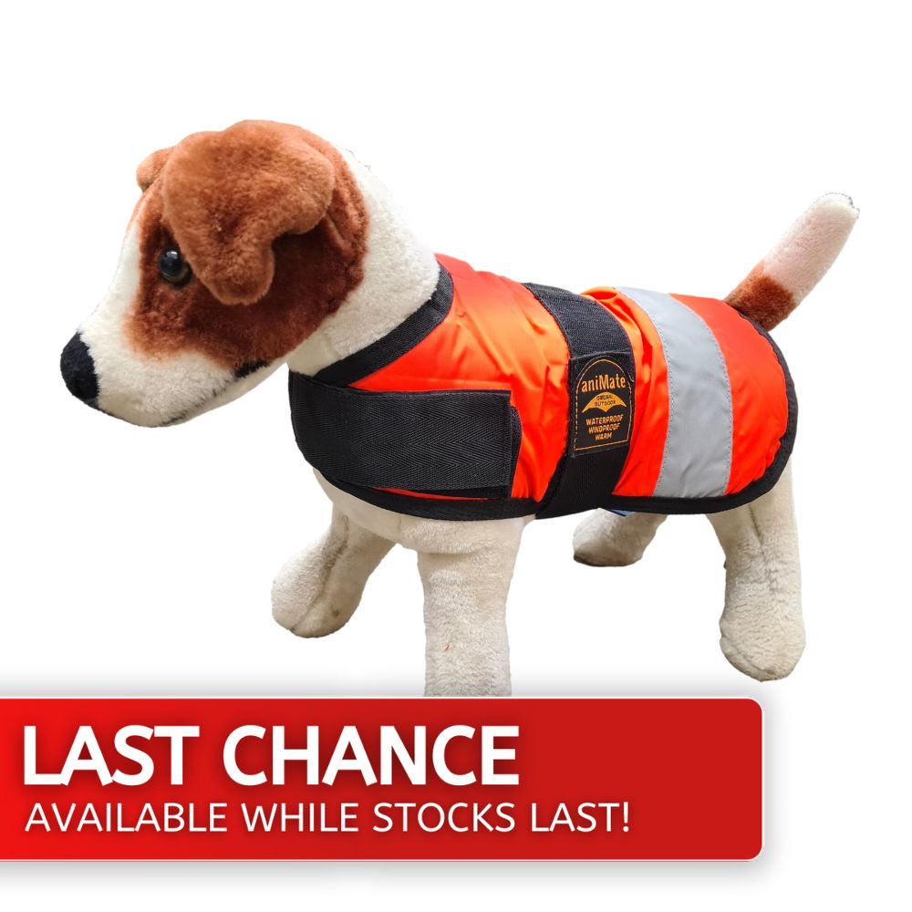 Animate Hi Vis Dog Coat Orange 10" 20% off Last Chance Item
