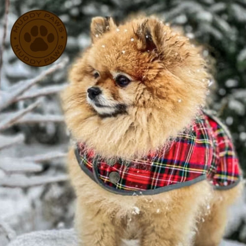 ANCOL Highland Tartan Dog Coat M 40cm
