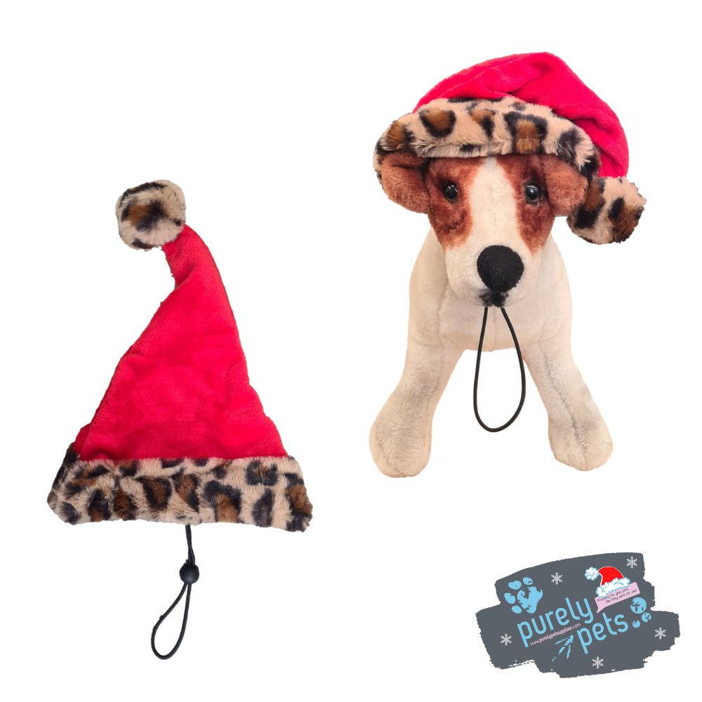 House of Paws Santa Hat