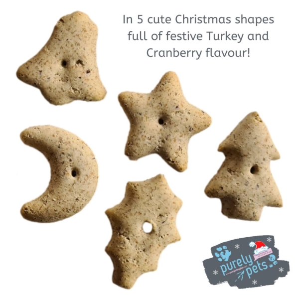 Turkey & Cranberry Christmas Biscuits