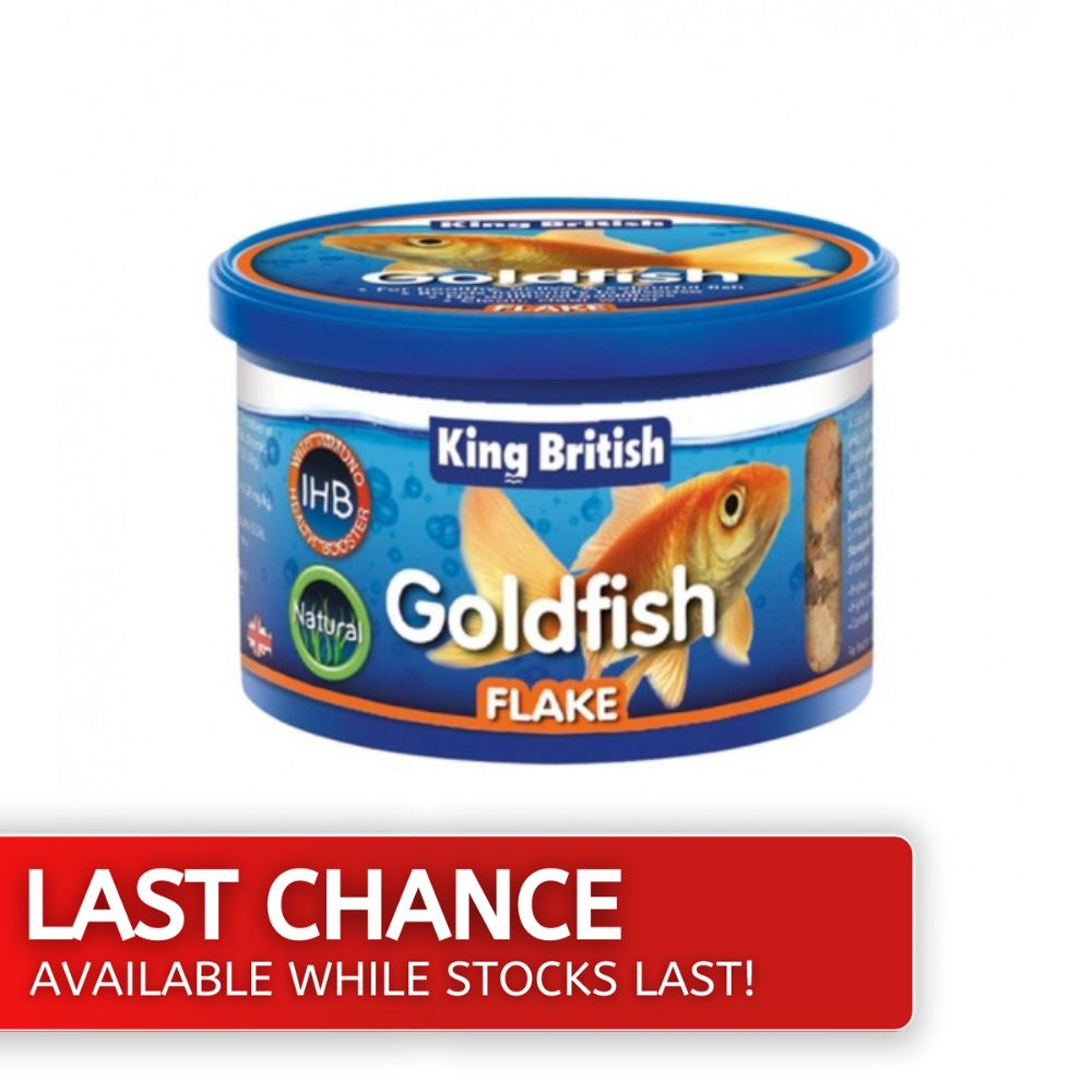 King British Goldfish Flake 55g LAst Chance