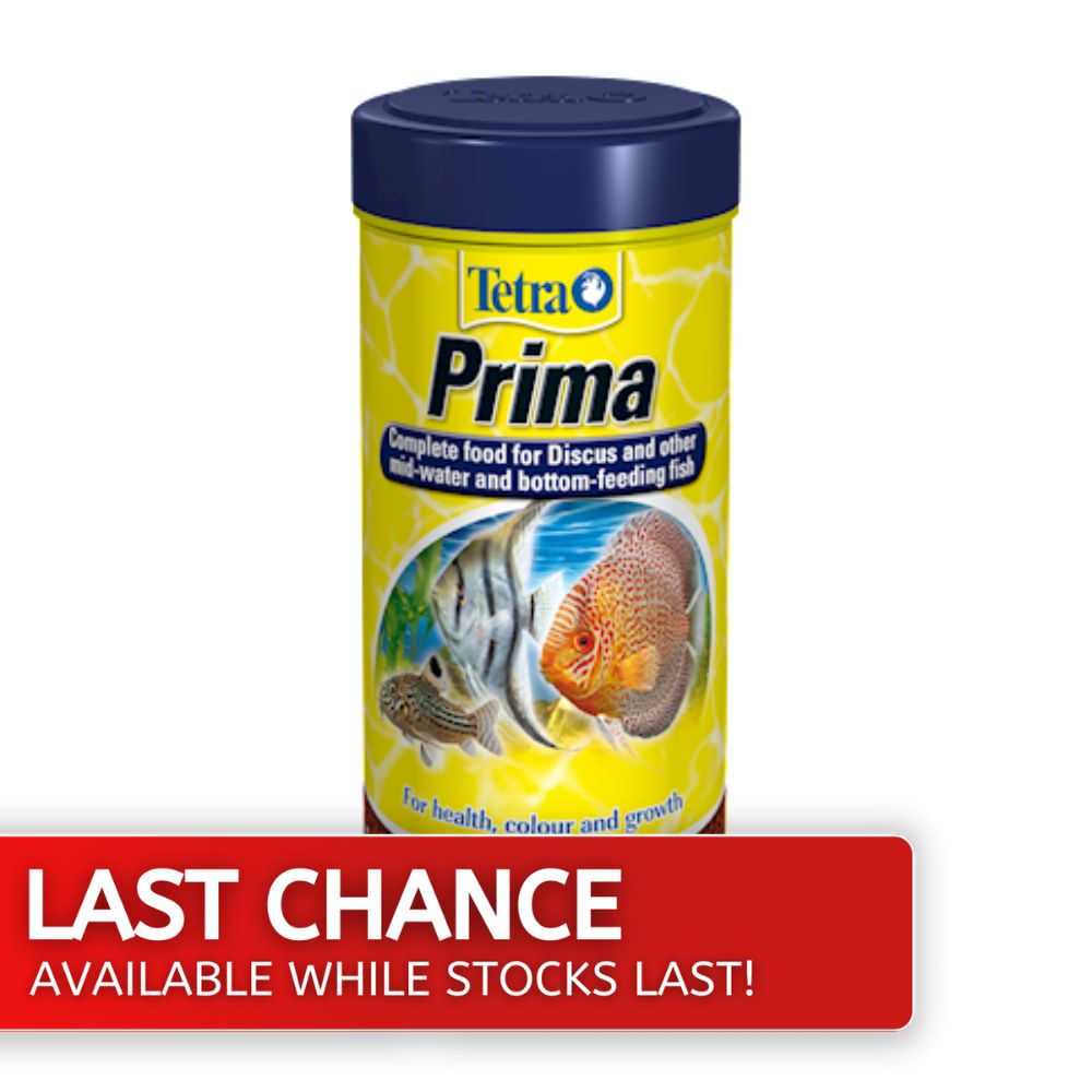 Tetra Prima Discus Granules 30g Last Chance