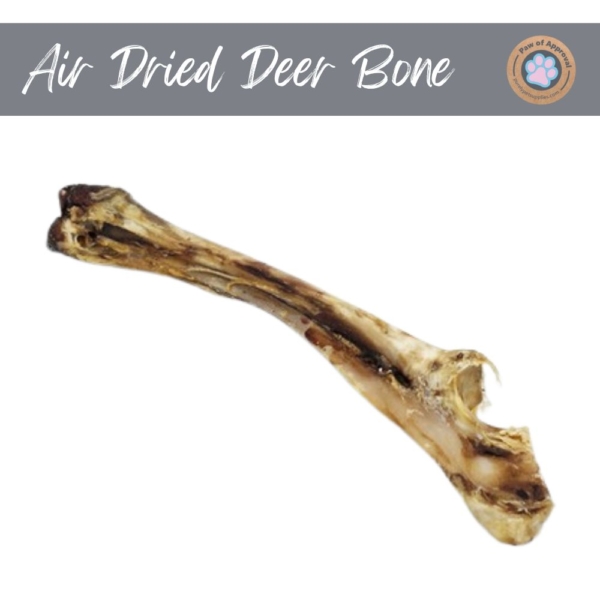 Air Dried Deer Bone 1pc