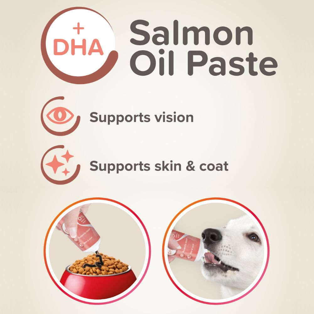 Beaphar Dog Salmon Oil Paste 100g