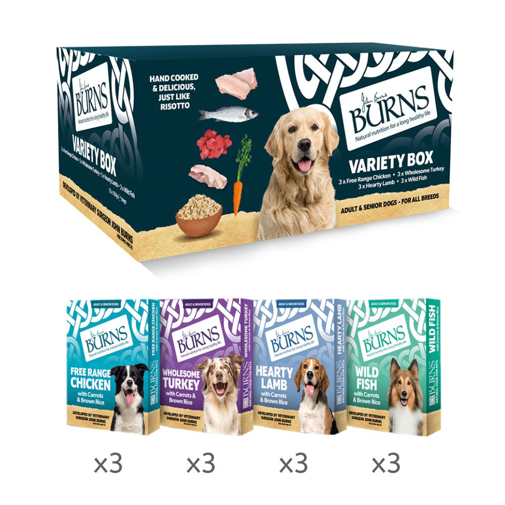 BURNS Small Dog Wet Food Variety Box 12x150g