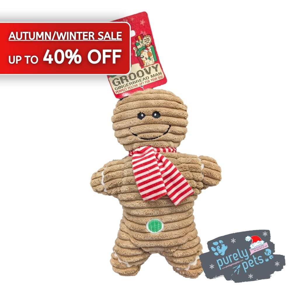 Good Boy Groovy Gingerbread Man Autumn/Winter Sale