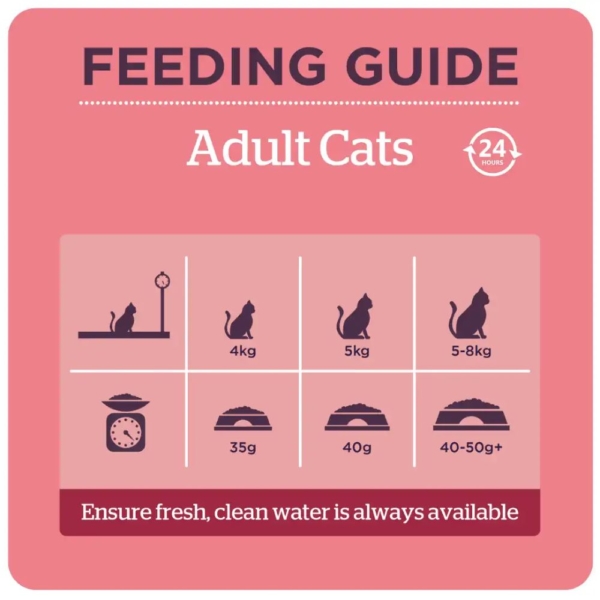 Burgess Mature Cat Food Feeding Guide