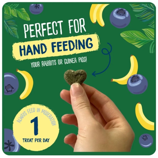 Burgess Excel Fruity Feasts are perfect for hand feeding!