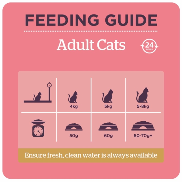 Burgess Cat Food Chicken Duck Feeding Guide
