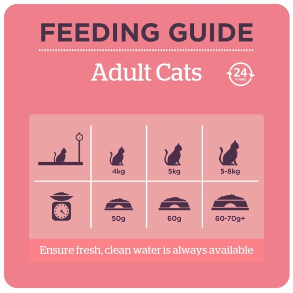 Burgess Cat Food Salmon Feeding Guide