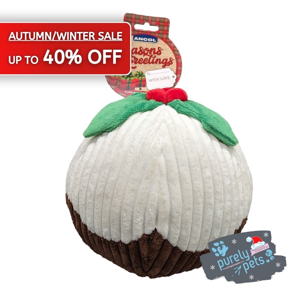 ANCOL Christmas Pudding Ball Autumn/Winter Sale