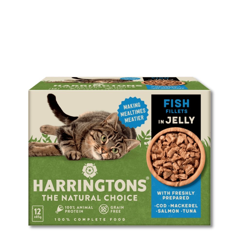 HARRINGTONS Cat Pouches Fish Fillets in Jelly 12 x 85g