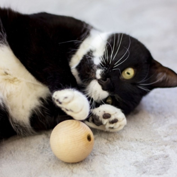 Rosewood Naturals Wooden Ball with Catnip 4.5cm