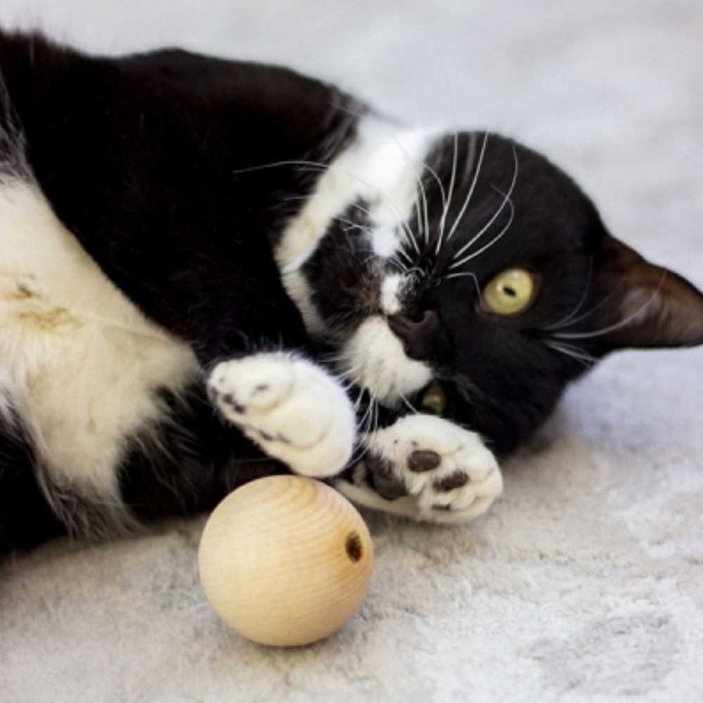Rosewood Naturals Wooden Ball with Catnip 5cm